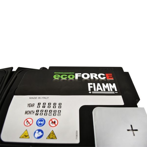 Автомобільний акумулятор FIAMM Ecoforce AGM 105Ah 950А R+ (VR950) (L6) 1022417 фото